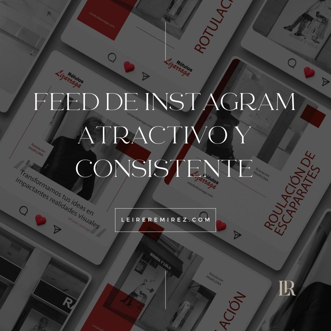 feed-de-instagra-leireremirez